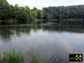 Holz Maar bei Gillenfeld nahe Daun in der Vulkaneifel, Rheinland-Pfalz, (D) (1) 01. Juni 2014.JPG